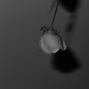 亚洲成人中文字幕
